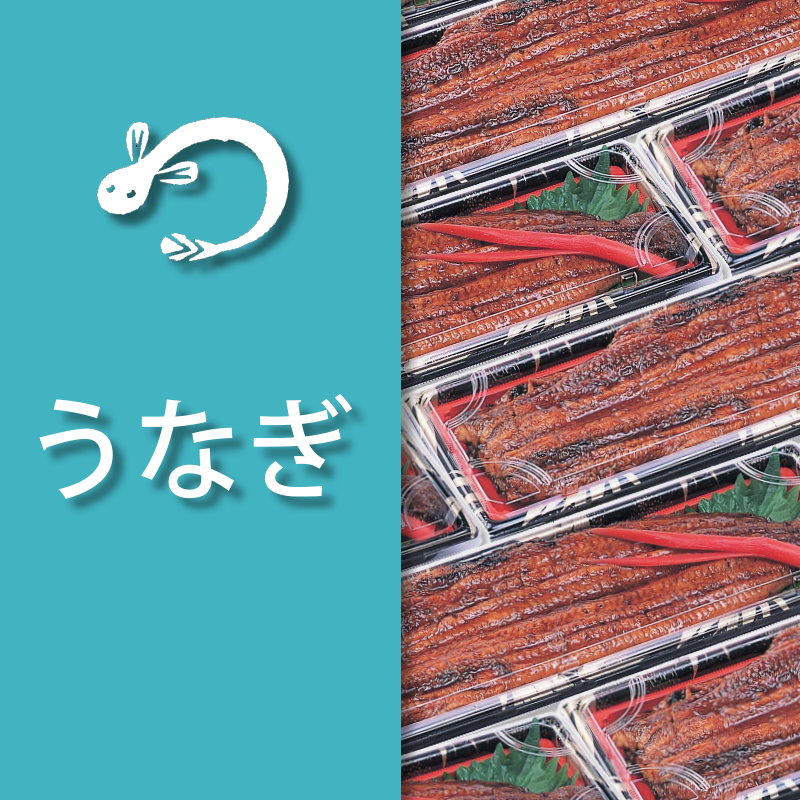 うなぎ専用